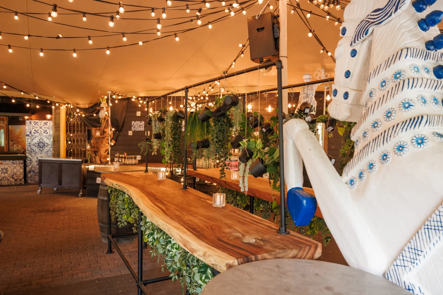 Grootste terras Knus Delft