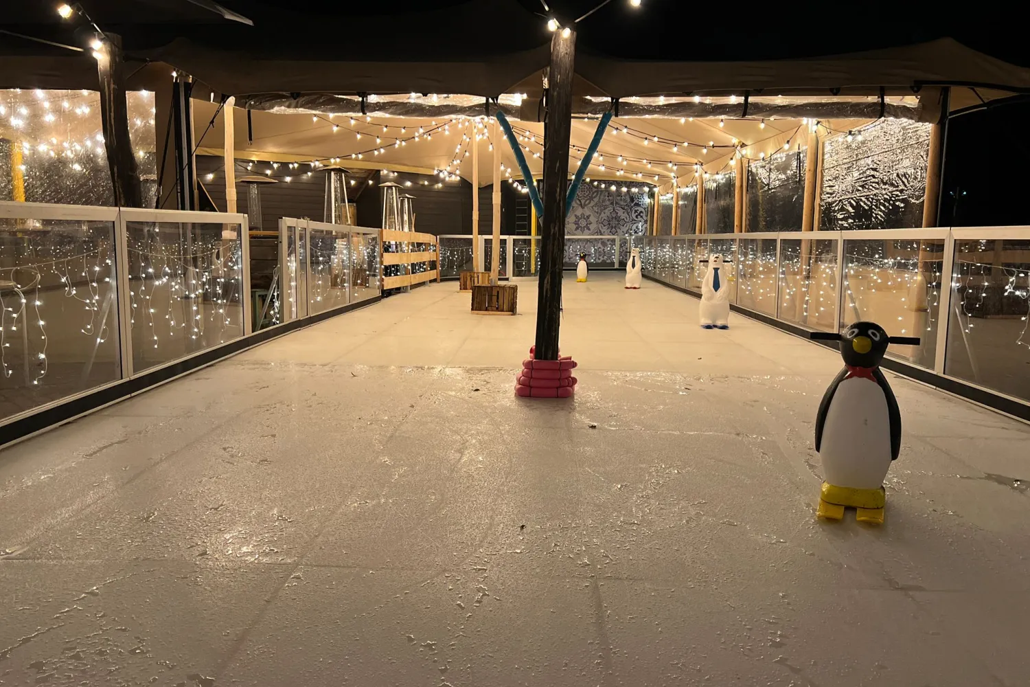 Schaatsen Delft