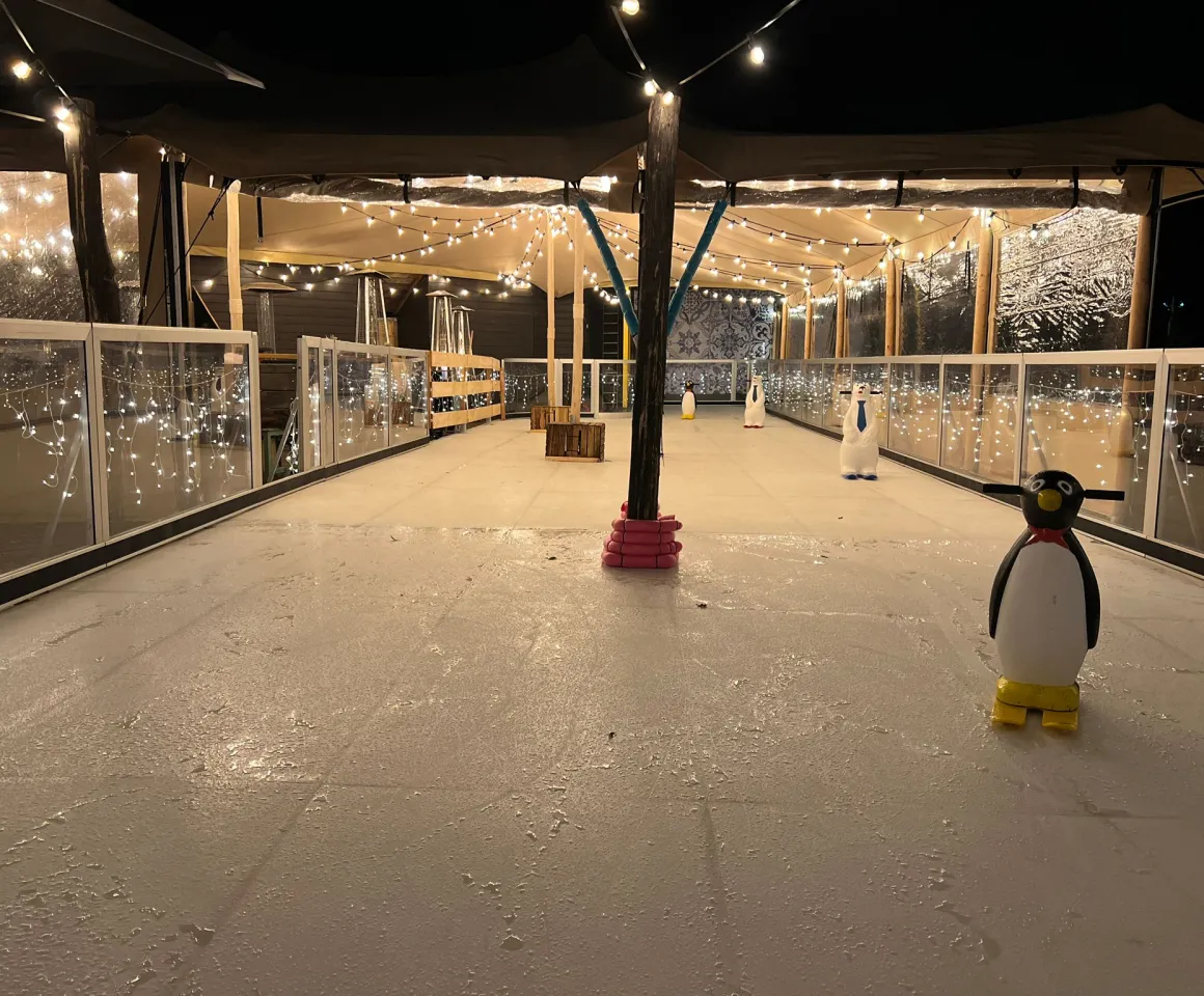 Schaatsen Delft